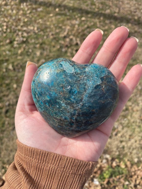 XL Blue Apatite Heart Palm Stone