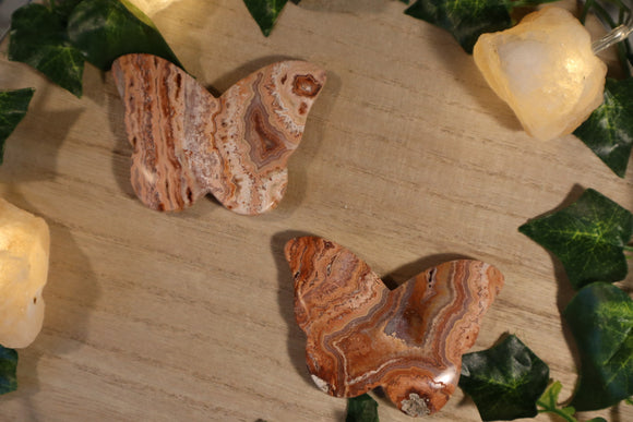 Pink Crazy Lace Agate Butterfly